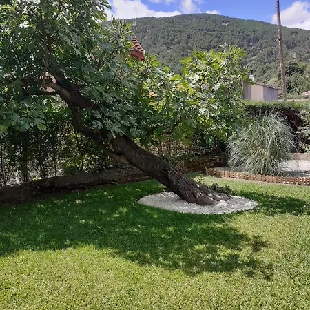 Apartment Las Adelfas